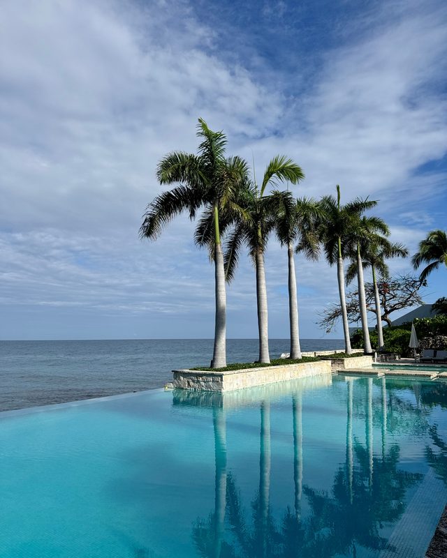 Oceanfront infinity pool with palm trees